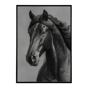 n z[X G G ʐ^  Aj} k |bv A[g 菑  |X^[ CeA  vg|X^[ tHg CXgylm-poster-7599z