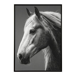 n z[X G G ʐ^  Aj} k |bv A[g 菑  |X^[ CeA  vg|X^[ tHg CXgylm-poster-7601z