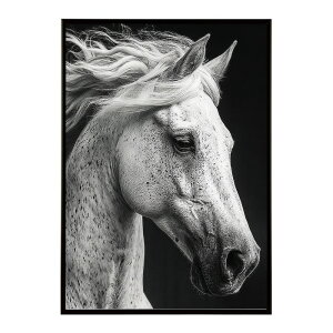 n z[X G G ʐ^  Aj} k |bv A[g 菑  |X^[ CeA  vg|X^[ tHg CXgylm-poster-7604z