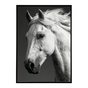 n z[X G G ʐ^  Aj} k |bv A[g 菑  |X^[ CeA  vg|X^[ tHg CXgylm-poster-7605z