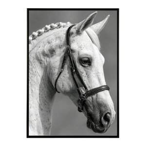 n z[X G G ʐ^  Aj} k |bv A[g 菑  |X^[ CeA  vg|X^[ tHg CXgylm-poster-7607z