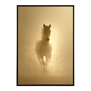 n z[X G G ʐ^  Aj} k |bv A[g 菑  |X^[ CeA  vg|X^[ tHg CXgylm-poster-7753z