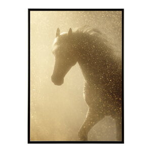 n z[X G G ʐ^  Aj} k |bv A[g 菑  |X^[ CeA  vg|X^[ tHg CXgylm-poster-7769z