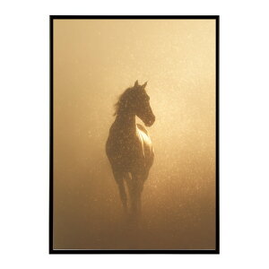 n z[X G G ʐ^  Aj} k |bv A[g 菑  |X^[ CeA  vg|X^[ tHg CXgylm-poster-7771z