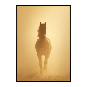 n z[X G G ʐ^  Aj} k |bv A[g 菑  |X^[ CeA  vg|X^[ tHg CXgylm-poster-7784z