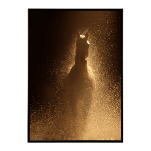 n z[X G G ʐ^  Aj} k |bv A[g 菑  |X^[ CeA  vg|X^[ tHg CXgylm-poster-7828z