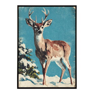 giJC k VJ  Aj}  A[g@ vg|X^[ tHg CXg NX}X CeA  ylm-poster-7855z