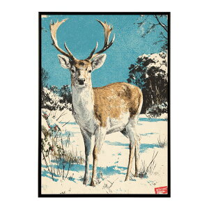 giJC k VJ  Aj}  A[g@ vg|X^[ tHg CXg NX}X CeA  ylm-poster-7862z