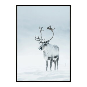 giJC k VJ  Aj}  A[g@ vg|X^[ tHg CXg NX}X CeA  ylm-poster-8091z