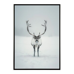 giJC k VJ  Aj}  A[g@ vg|X^[ tHg CXg NX}X CeA  ylm-poster-8093z