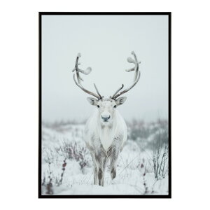 giJC k VJ  Aj}  A[g@ vg|X^[ tHg CXg NX}X CeA  ylm-poster-8094z