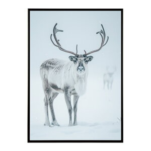 giJC k VJ  Aj}  A[g@ vg|X^[ tHg CXg NX}X CeA  ylm-poster-8095z