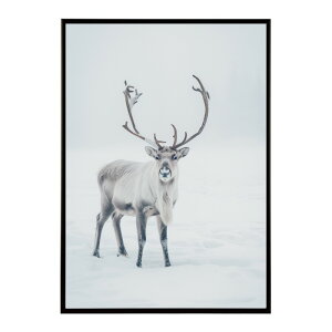 giJC k VJ  Aj}  A[g@ vg|X^[ tHg CXg NX}X CeA  ylm-poster-8097z