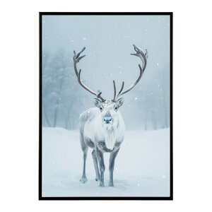 giJC k VJ  Aj}  A[g@ vg|X^[ tHg CXg NX}X CeA  ylm-poster-8098z