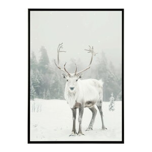 giJC k VJ  Aj}  A[g@ vg|X^[ tHg CXg NX}X CeA  ylm-poster-8099z