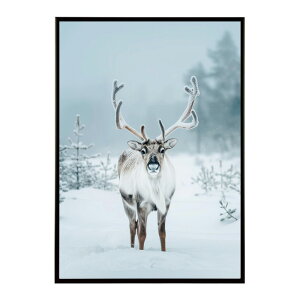 giJC k VJ  Aj}  A[g@ vg|X^[ tHg CXg NX}X CeA  ylm-poster-8100z