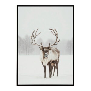 giJC k VJ  Aj}  A[g@ vg|X^[ tHg CXg NX}X CeA  ylm-poster-8101z