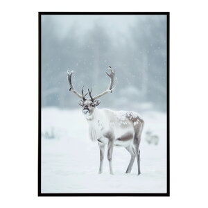 giJC k VJ  Aj}  A[g@ vg|X^[ tHg CXg NX}X CeA  ylm-poster-8102z