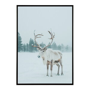 giJC k VJ  Aj}  A[g@ vg|X^[ tHg CXg NX}X CeA  ylm-poster-8106z