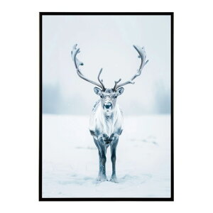 giJC k VJ  Aj}  A[g@ vg|X^[ tHg CXg NX}X CeA  ylm-poster-8107z