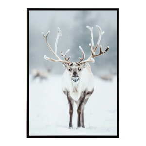 giJC k VJ  Aj}  A[g@ vg|X^[ tHg CXg NX}X CeA  ylm-poster-8108z