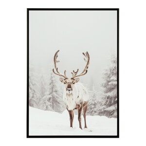 giJC k VJ  Aj}  A[g@ vg|X^[ tHg CXg NX}X CeA  ylm-poster-8109z