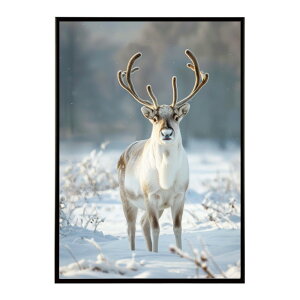 giJC k VJ  Aj}  A[g@ vg|X^[ tHg CXg NX}X CeA  ylm-poster-8188z