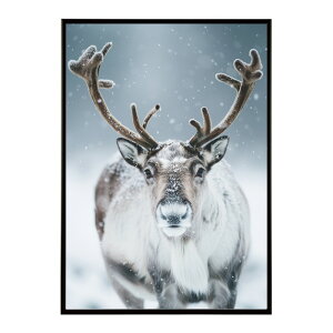 giJC k VJ  Aj}  A[g@ vg|X^[ tHg CXg NX}X CeA  ylm-poster-8189z