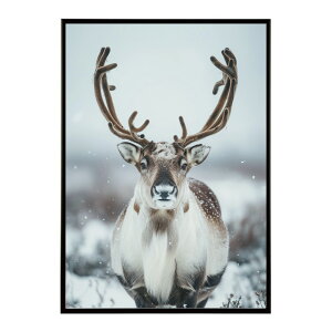 giJC k VJ  Aj}  A[g@ vg|X^[ tHg CXg NX}X CeA  ylm-poster-8190z