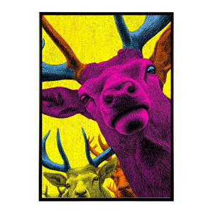 giJC k VJ  Aj}  A[g@ vg|X^[ tHg CXg NX}X CeA  ylm-poster-8441z