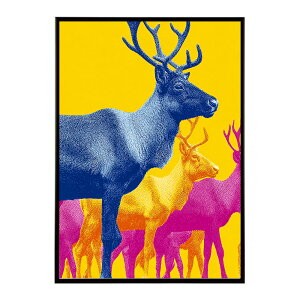 giJC k VJ  Aj}  A[g@ vg|X^[ tHg CXg NX}X CeA  ylm-poster-8448z