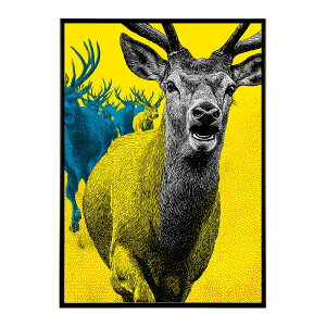 giJC k VJ  Aj}  A[g@ vg|X^[ tHg CXg NX}X CeA  ylm-poster-8453z