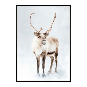 giJC k VJ  Aj}  A[g@ vg|X^[ tHg CXg NX}X CeA  ylm-poster-8508z