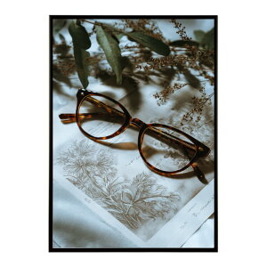 Kl ዾ TOX |bv Jt h t[ vg|X^[ vg|X^[ tHg CXg   傫ykm-poster-544z