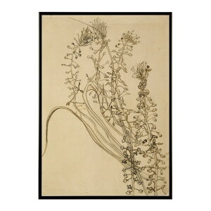 �S�b�z ���i�� Tassel hyancinth�yVincent van Gogh�z(1889)�G�� �|�X�^�[ �f�W�^�����}�X�^�[ ���� �G ���� ���G ���ʁybn-poster-7894�z