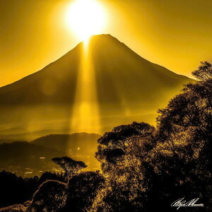 金の富士 金運 ゴールド 山 富士山 ご利益 運気 グッズ アイテム 開運 正方形ポスター 四角 デザイン ポスター スクエア 5センチ刻みでサイズ豊富 絵画【sq-poster-1194】