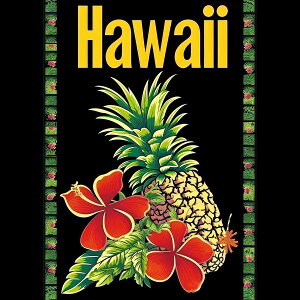 nC |X^[ C g `|X^[ ][g lp T[t r[` V̖ An nCrXJX C fUC |X^[ XNGA 5Z`݂ŃTCYLx CeA fUC v