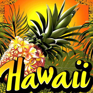 nC |X^[ C g `|X^[ ][g lp T[t r[` V̖ An nCrXJX C fUC |X^[ XNGA 5Z`݂ŃTCYLx CeA fUC v