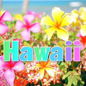 nC |X^[ C g `|X^[ ][g lp T[t r[` V̖ An nCrXJX C fUC |X^[ XNGA 5Z`݂ŃTCYLx CeA fUC v