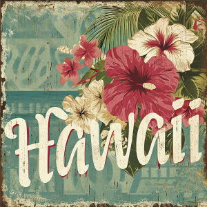 nC |X^[ C g `|X^[ ][g lp T[t r[` V̖ An nCrXJX C fUC |X^[ XNGA 5Z`݂ŃTCYLx CeA fUC v