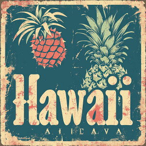 nC |X^[ C g `|X^[ ][g lp T[t r[` V̖ An nCrXJX C fUC |X^[ XNGA 5Z`݂ŃTCYLx CeA fUC v