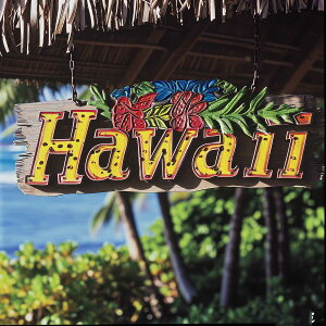 nC |X^[ C g `|X^[ ][g lp T[t r[` V̖ An nCrXJX C fUC |X^[ XNGA 5Z`݂ŃTCYLx CeA fUC v