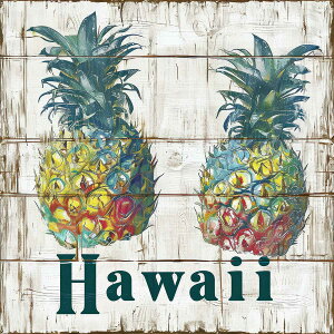 nC |X^[ C g `|X^[ ][g lp T[t r[` V̖ An nCrXJX C fUC |X^[ XNGA 5Z`݂ŃTCYLx CeA fUC v