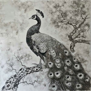 N E NWN `|X^[  G敗 | G ^ J^ ObY  S  K K  S[h  lp fUC |X^[ XNGA CeA fUC v