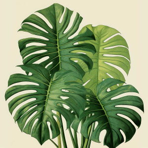 Xe `|X^[ A WO O[ EH[ Ǌ|   ^ t R iFlp fUC |X^[ XNGA 5Z`݂ŃTCYLx CeA fUC v