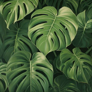 モンステラ 正方形ポスター 植物 ジャングル グリーン ウォール 壁掛け 草 風水 金運 葉っぱ 自然 景色四角 デザイン ポスター スクエア 5センチ刻みでサイズ豊富 インテリア デザイン プリ