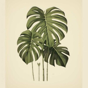 Xe `|X^[ A WO O[ EH[ Ǌ|   ^ t R iFlp fUC |X^[ XNGA 5Z`݂ŃTCYLx CeA fUC v