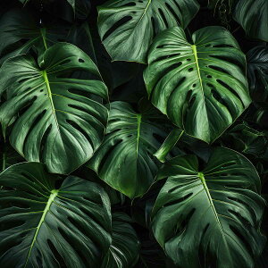 Xe `|X^[ A WO O[ EH[ Ǌ|   ^ t R iFlp fUC |X^[ XNGA 5Z`݂ŃTCYLx CeA fUC v