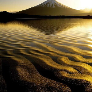 ̕xm ^ S[h R xmR v ^C ObY ACe J^ `|X^[ lp fUC |X^[ XNGA 5Z`݂ŃTCYLx Gysq-poster-995z