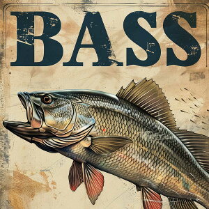 ubNoX blackbass tBbVO `|X^[ A[  ނ g    lp fUC |X^[ XNGA CeA fUC vg G ItBX Z X 